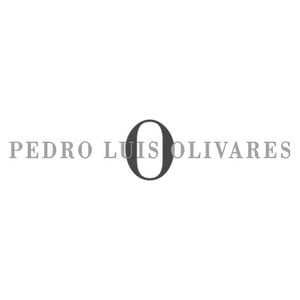 pedro luis